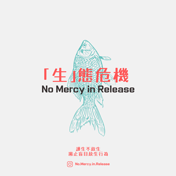 No Mercy in Release*