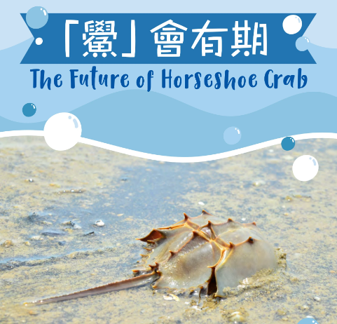 《鲎会有期》电子书