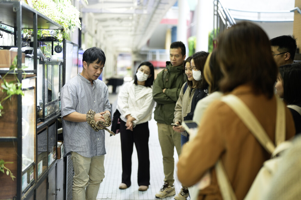 香港環境卓越大獎